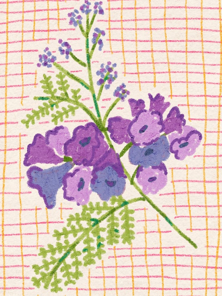 Jacaranda Flowers