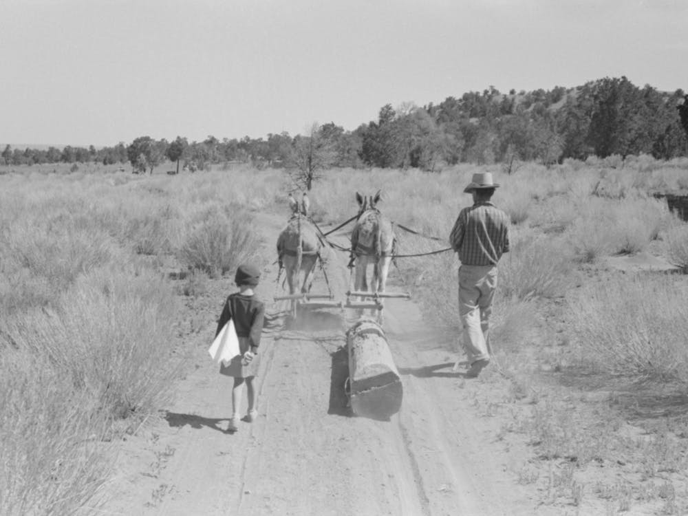 Dragging Log From Old Dugout To Be Used In Building New Dugout, Pie Town, New Mexico By Russell Lee