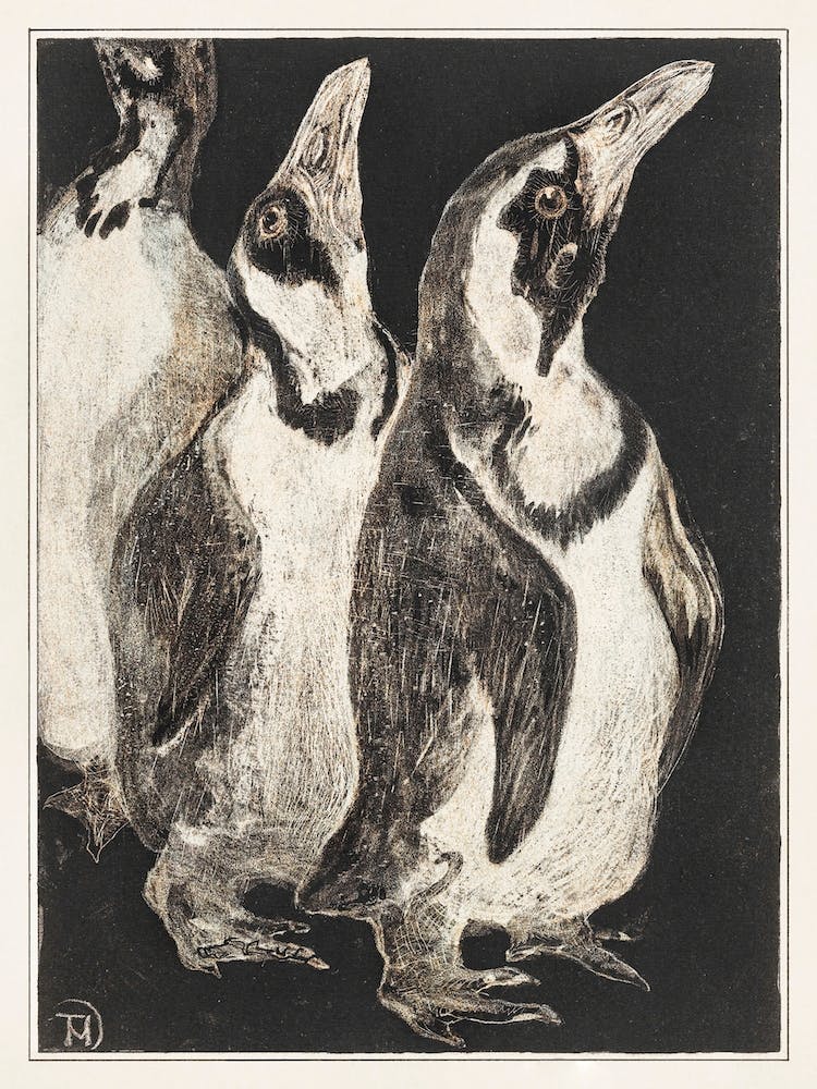Three Penguins (1878–1906), Theo Van Hoytema