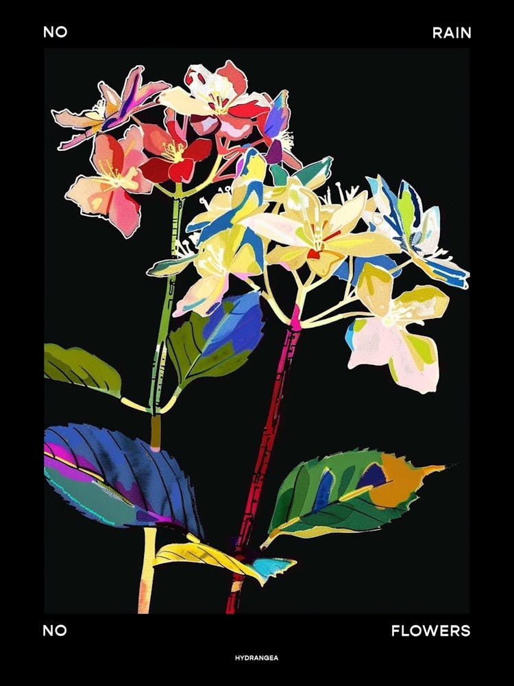 No Rain No Flowers Poster Hydrangea 1