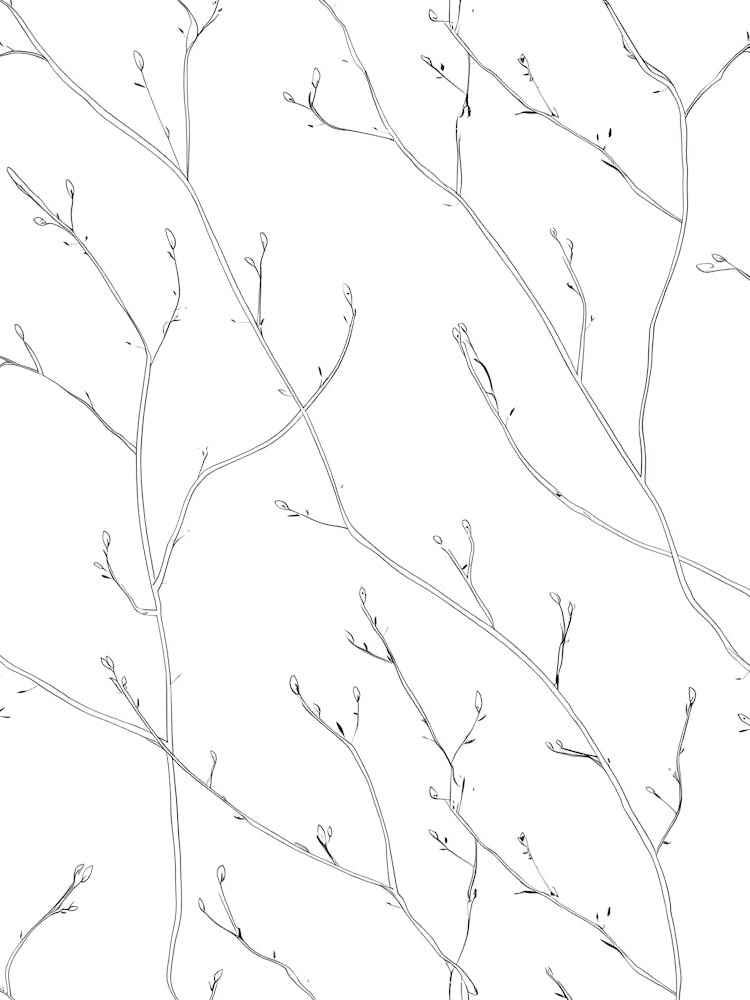 Delicate Twig Illustration: Intricate Line Art of Branches and Buds