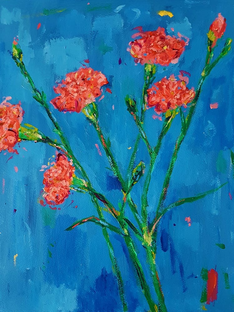 Carnations