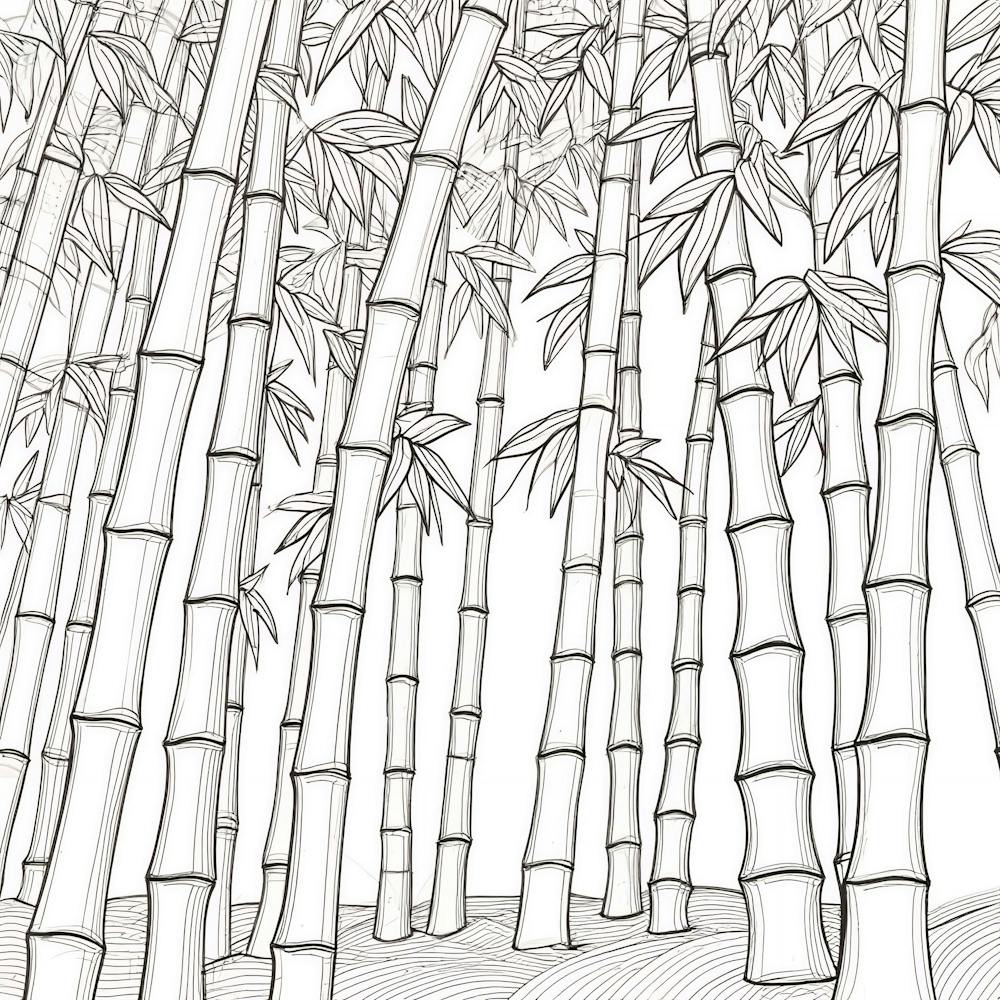 Bamboo Forest 4