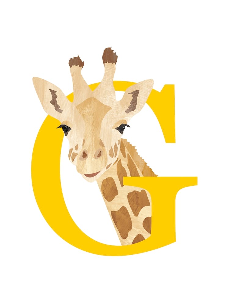 G For Giraffe