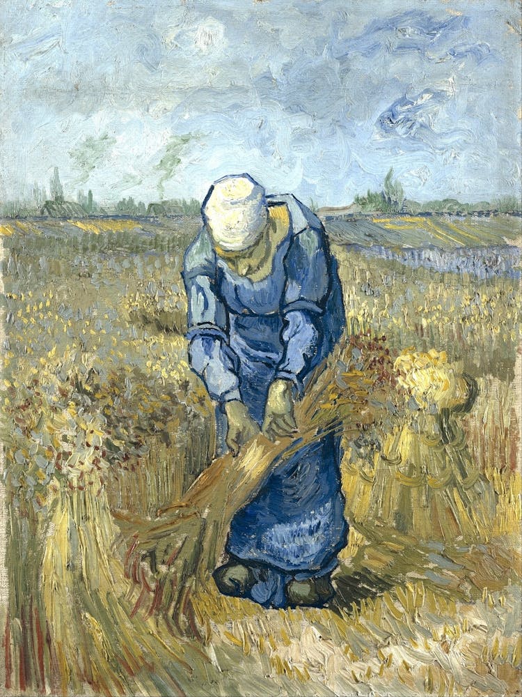 Woman In A Field