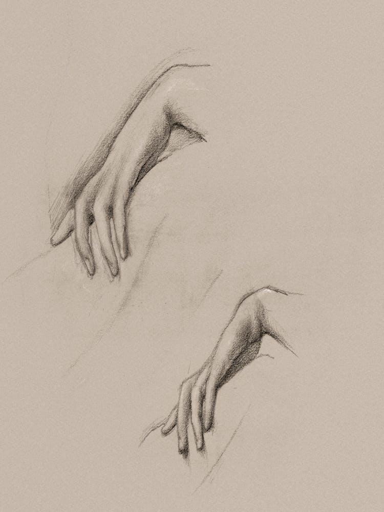 Hands Of A Woman
