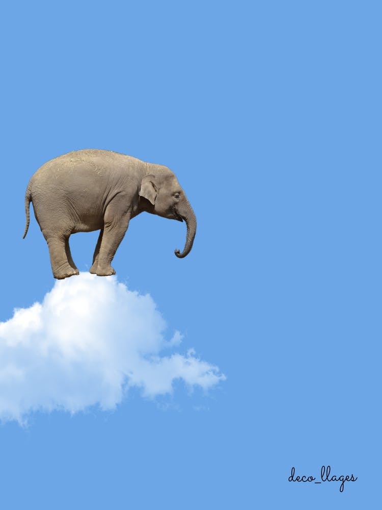 Éléphant sur nuage
