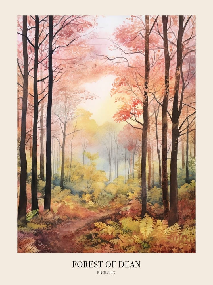 Autumn Forest Landscape Forest Of Dean England 1 Poster