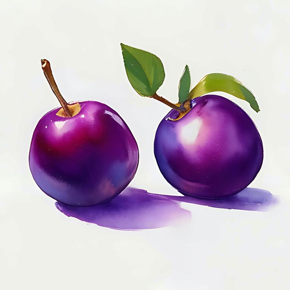 Watercolor Plum