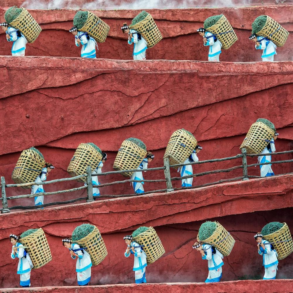 The Ants