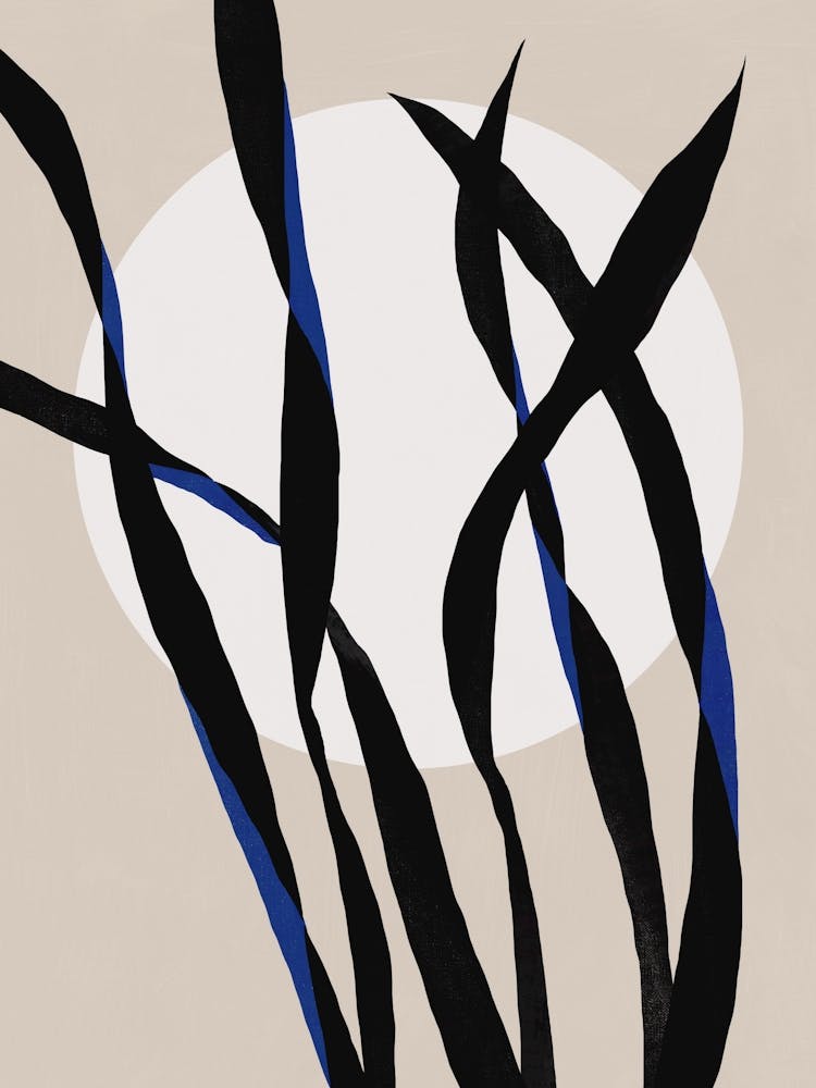 Black And Blue Grass