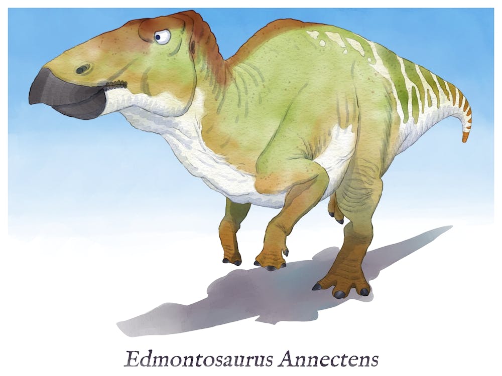 Edmontosaurus Annectens