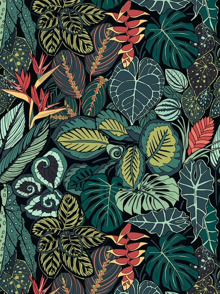 Tropical Rainforest Pattern