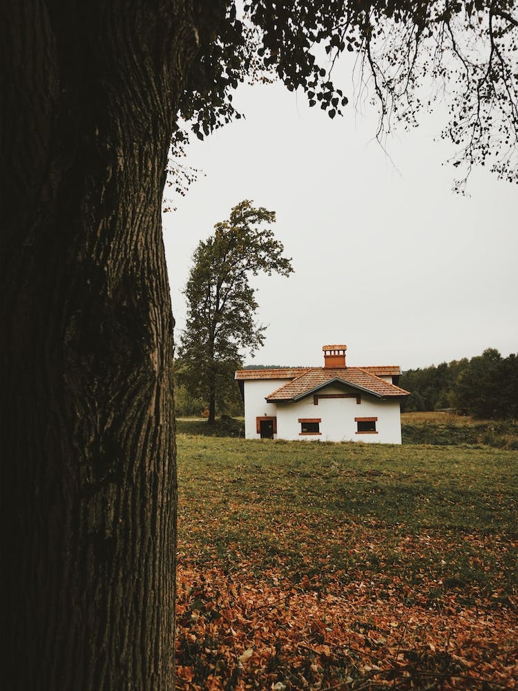 Fall Farm Landscape