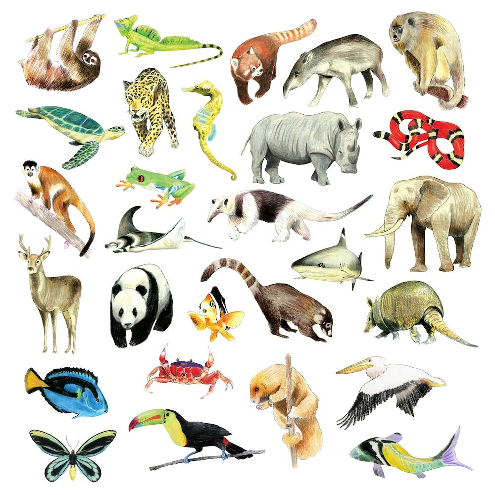 Animals Square