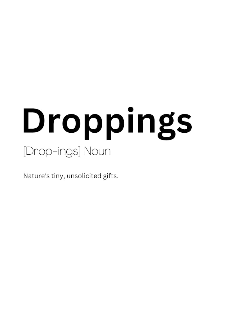 Droppings Definition Meaning 1