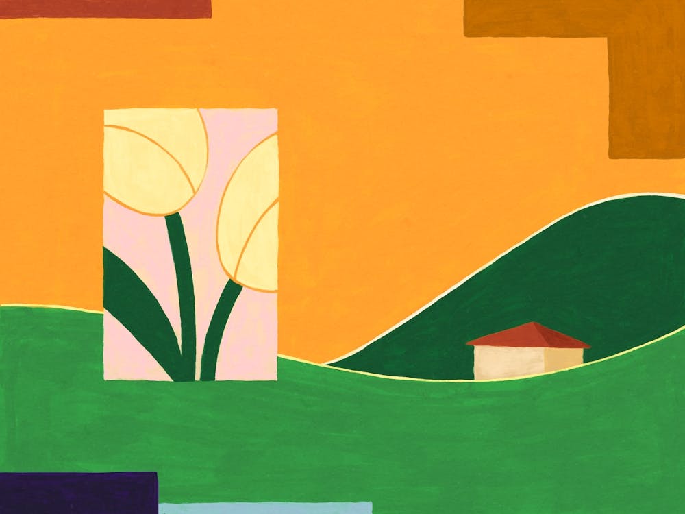 Tulpen