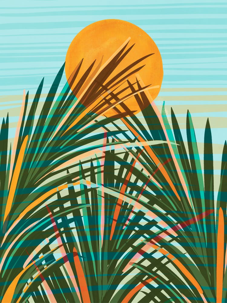 Sunset Palms