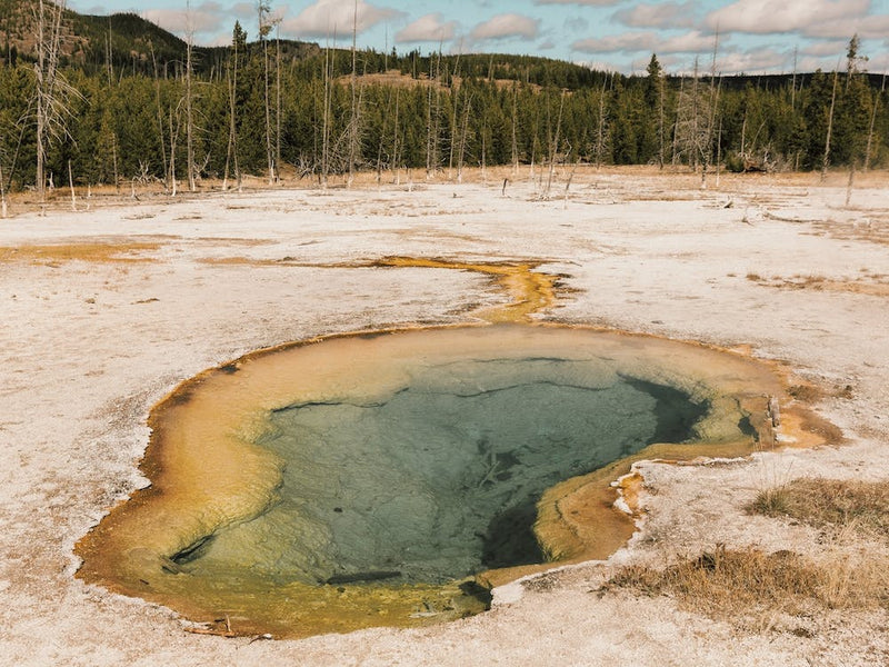 Prismatic Spring