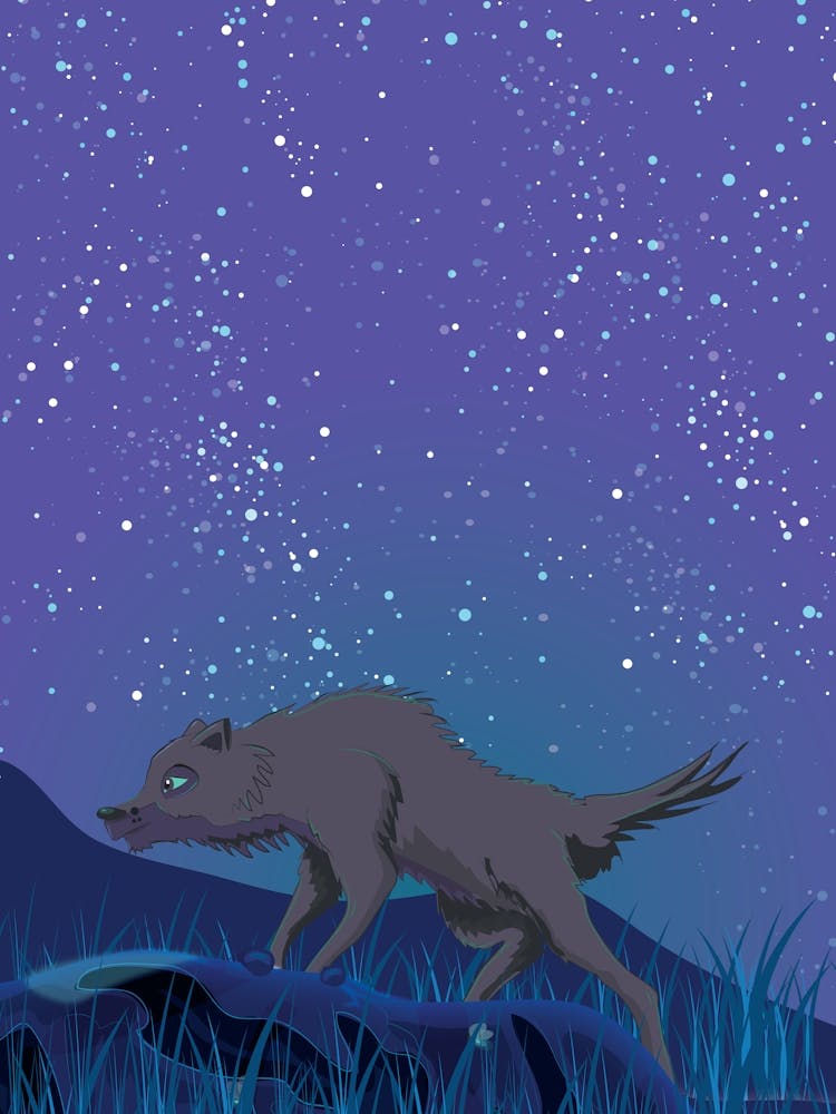 Loup Dans Le Ciel Nocturne