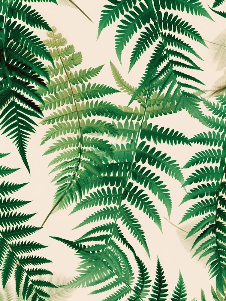 Pattern Poster Sensitive Fern 4