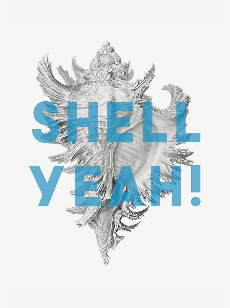 Shell Yeah