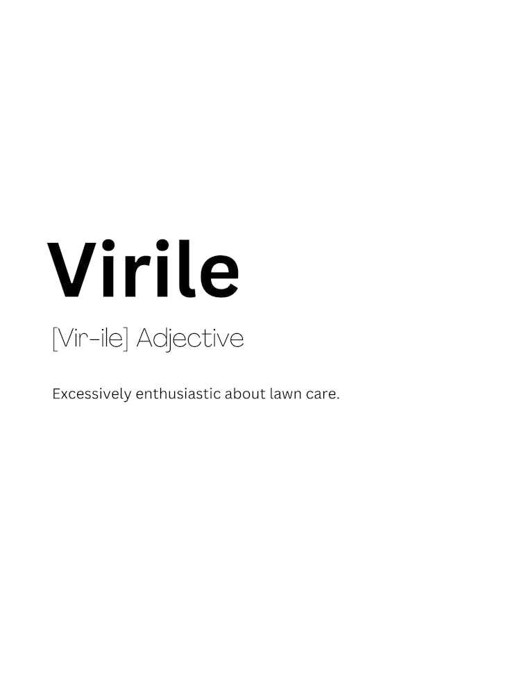 Virile Definition Meaning