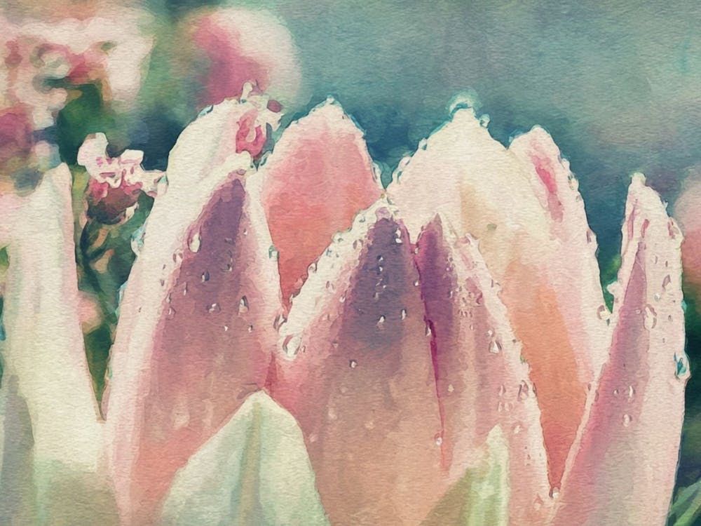 Soft Protea Bloom - Muted Floral