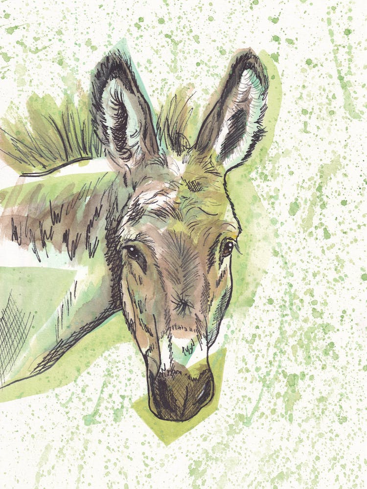 Donkey- Watercolour
