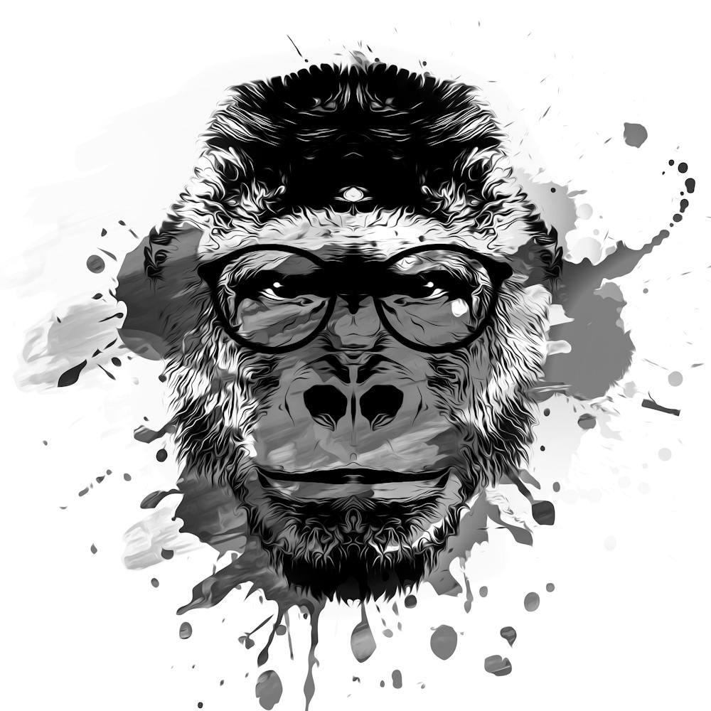 Gorilla
