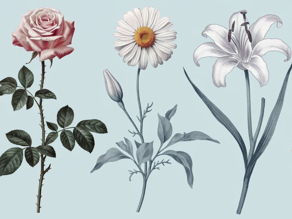 Timeless Botanical Collection - Elegant Floral Illustrations