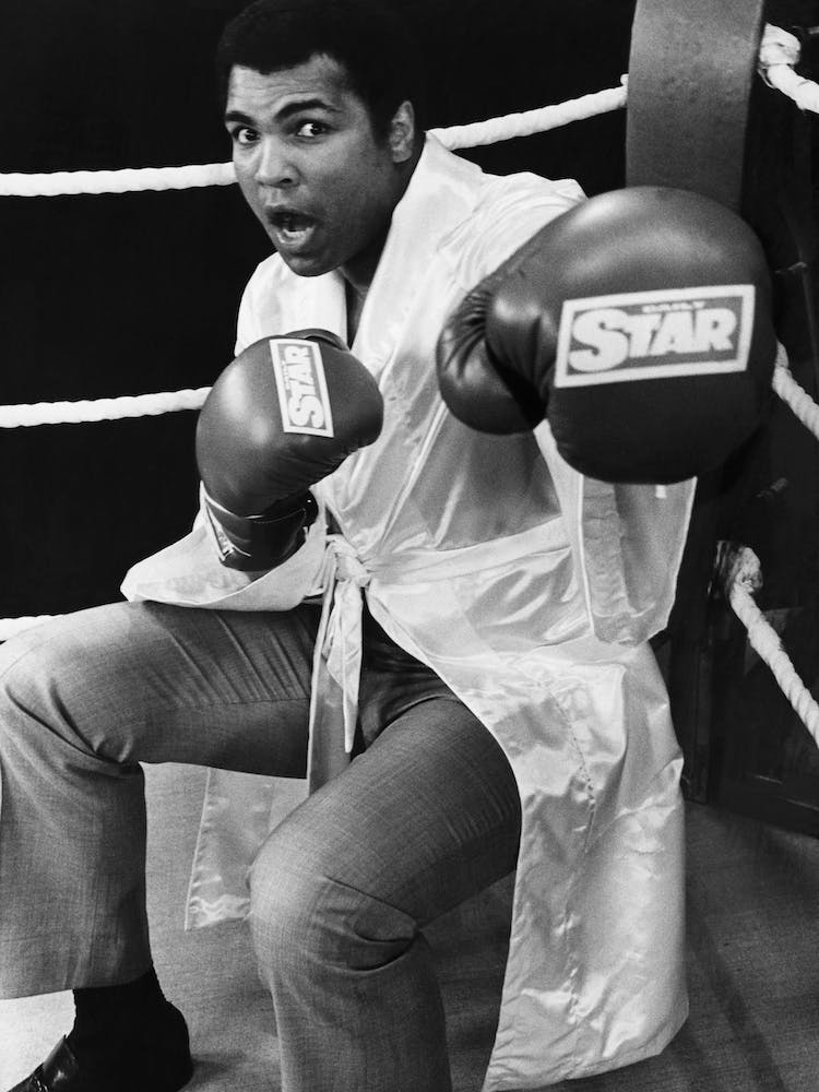 Muhammad Ali Posing Wearing Daily Star Boxing Gloves 1981