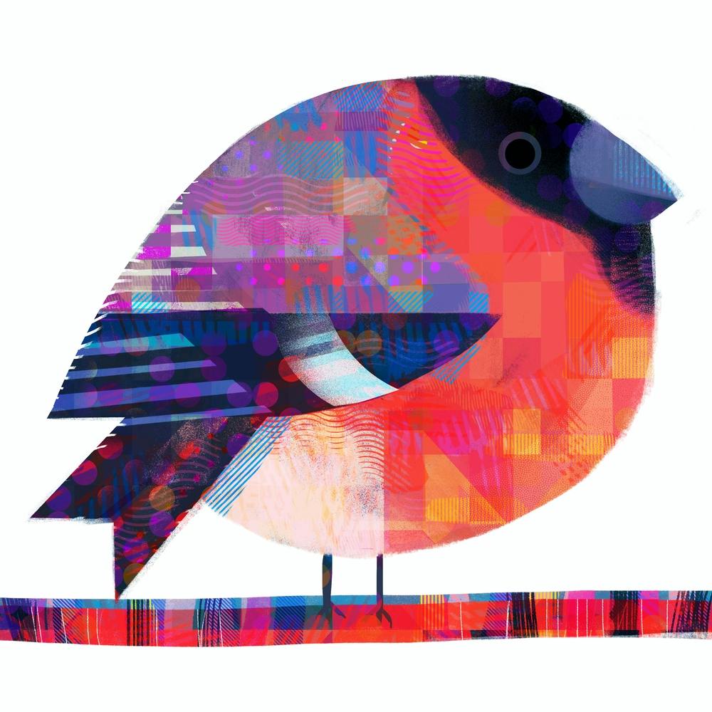 Bullfinch