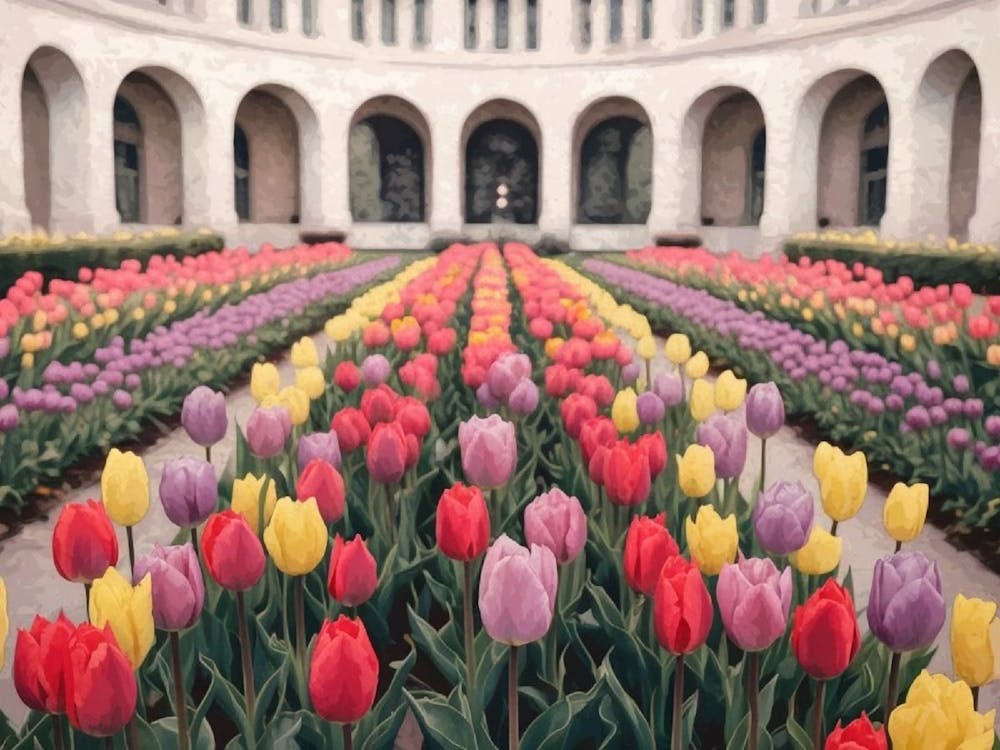 Vibrant Tulip Garden - Spring Floral