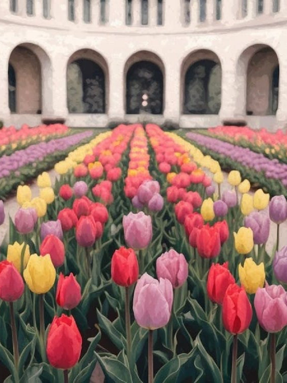 Vibrant Tulip Garden - Spring Floral