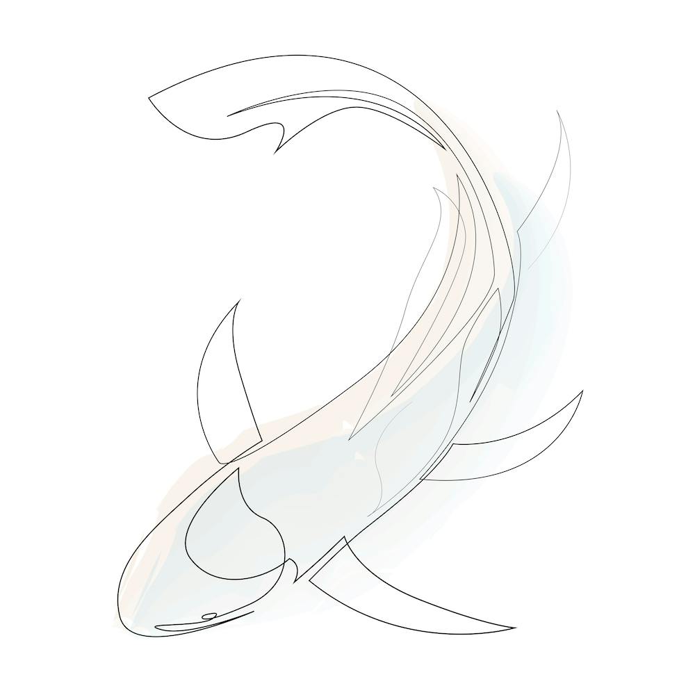 Koi Square Line