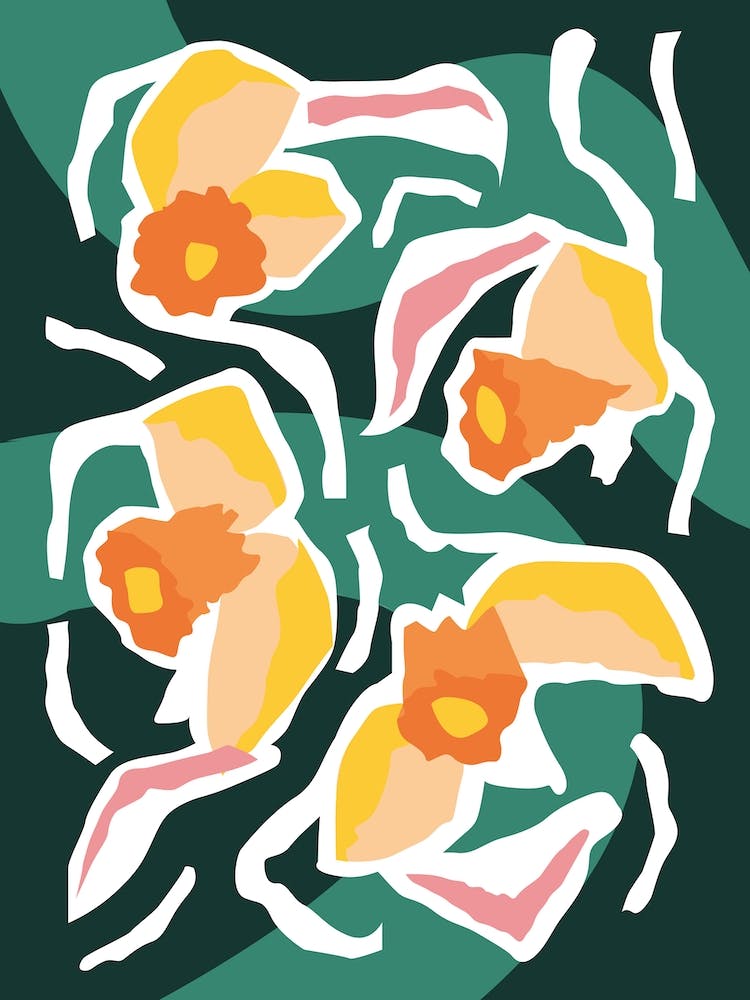 Dark Dancing Daffodils