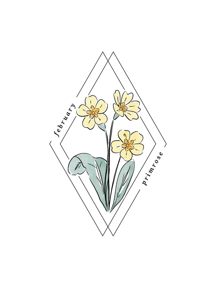 Februar Primel Geburtsblume