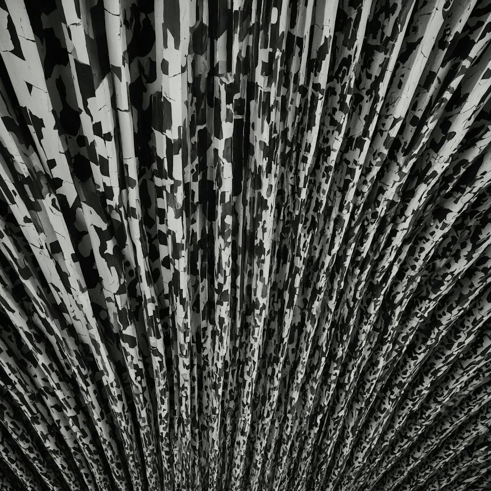 Black And White Pattern