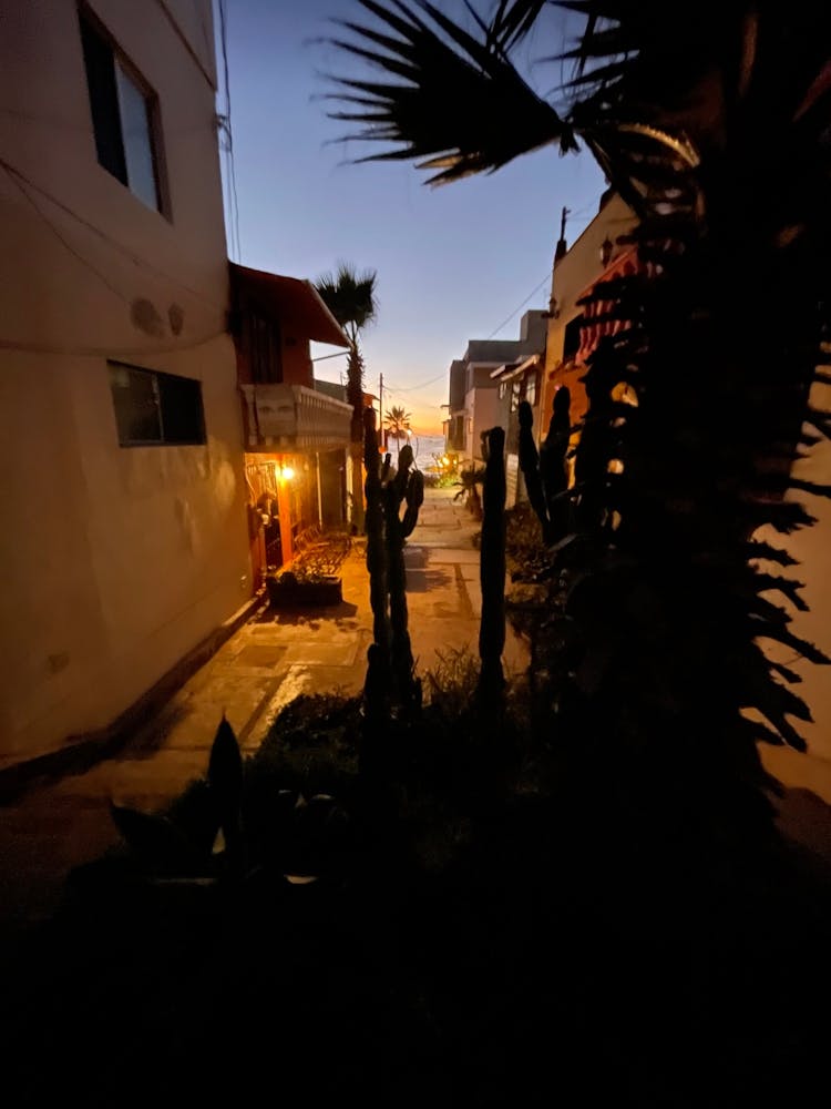 Street Scene At Dusk