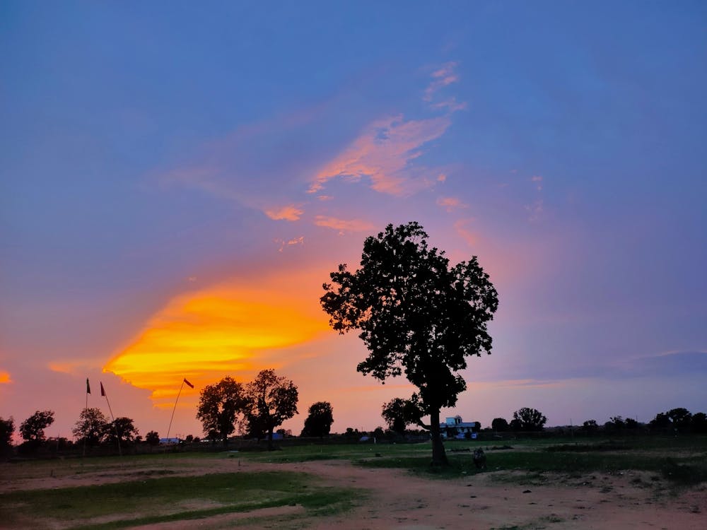 Sunset In A Field
