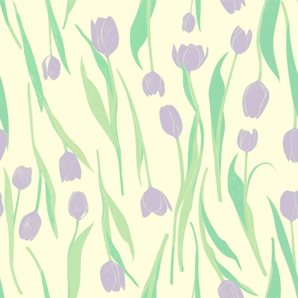 Tulip garden