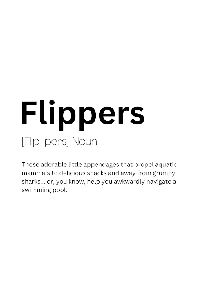 Flippers Definition Meaning