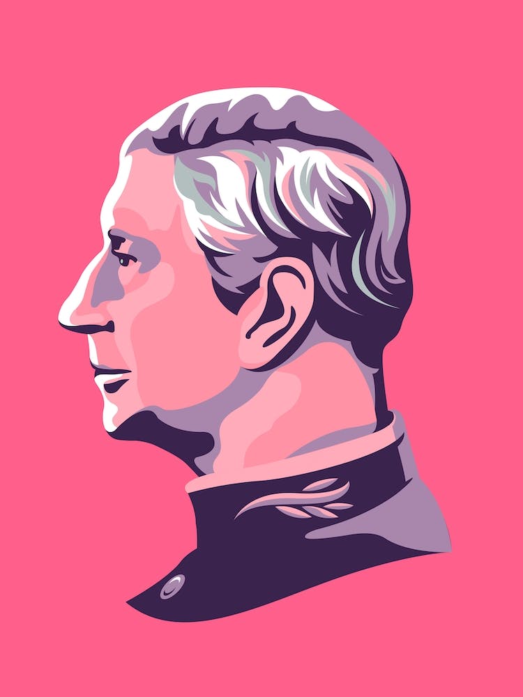 King Charles Print Pink