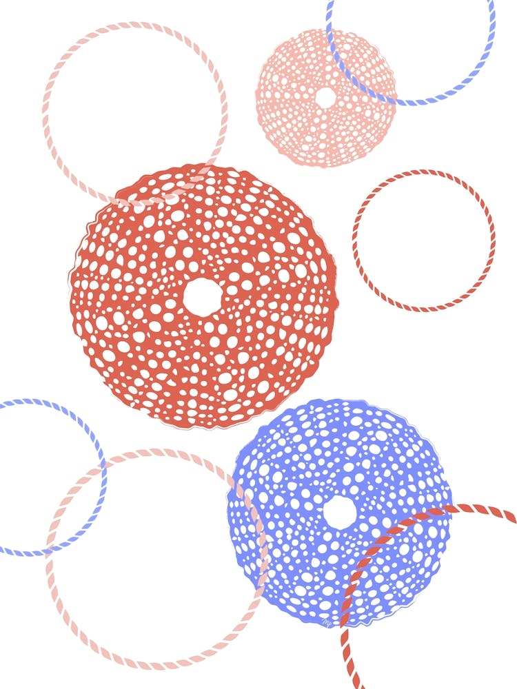Red Urchins