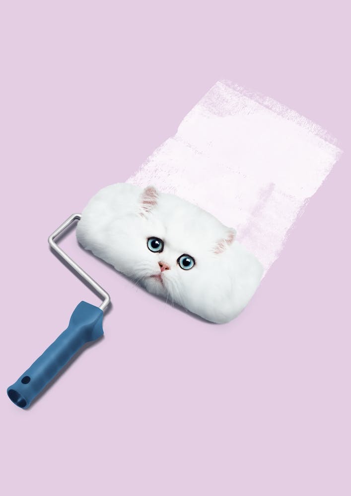Paint Roller Cat