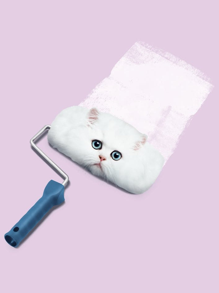 Paint Roller Cat