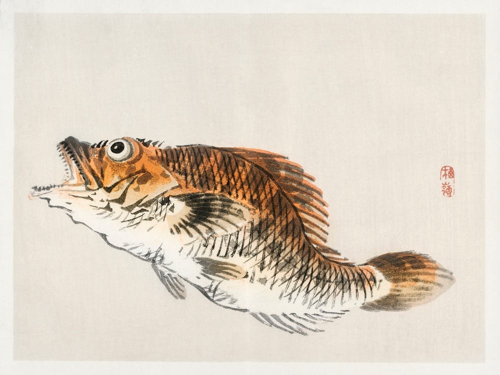Muskellunge, Kōno Bairei