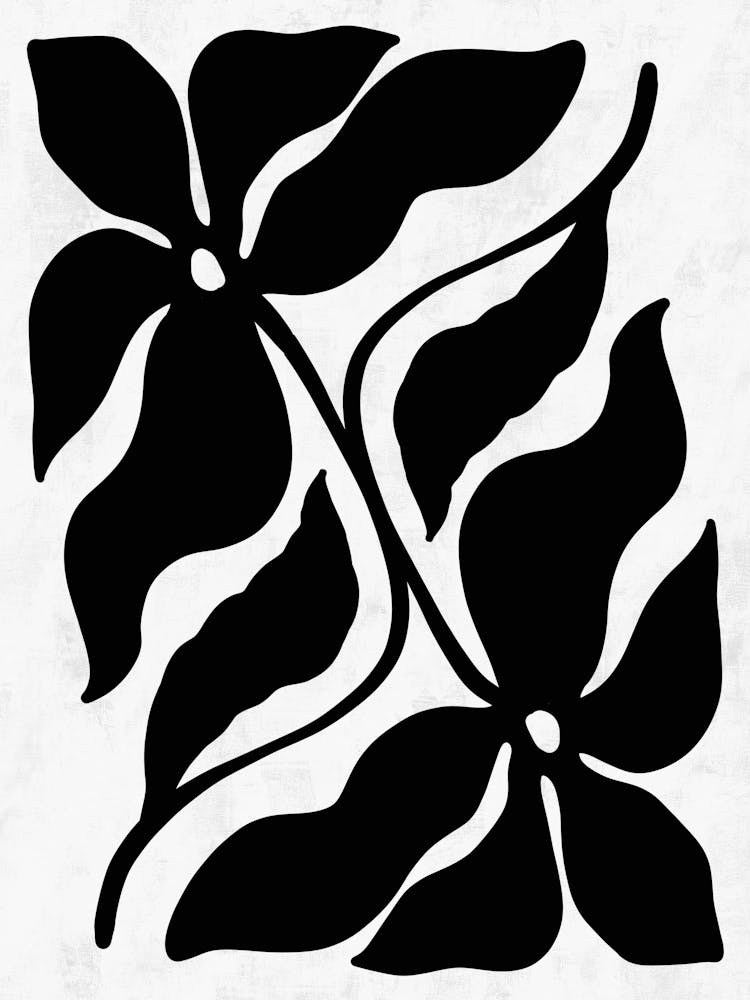 Black And White Flower 37