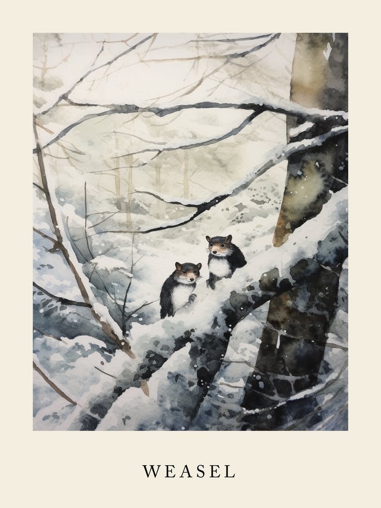Winter Watercolour Weasel 2 Poster